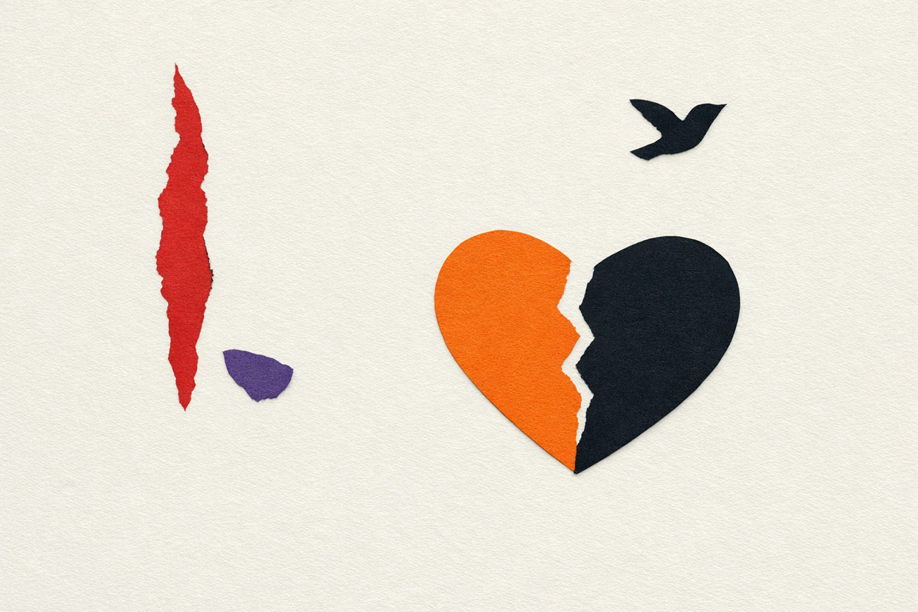 A sombra do pássaro que passa