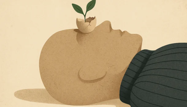 La Maison du Papillon Tapissier